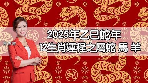 恕性之龍|董易奇2025乙巳年運勢指南——生肖龍